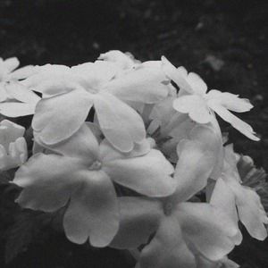 Meet your Posher, Kaelyn